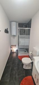 uma casa de banho com um WC e um lavatório em Olive Holiday House Croatia 