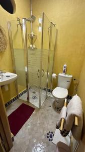 a bathroom with a shower and a toilet and a sink at Vue imprenable à Essaouira in Diabat