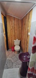 a small bathroom with a toilet and a sink at Mora's Place B&B in Monteverde Costa Rica
