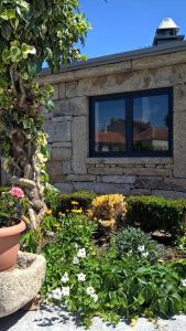 Um jardim no exterior de Casas de Sequeiros