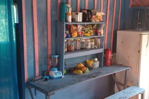 a shelf with a blender and a bowl of food at Private Beach Jungle Cabañas in Manacapuru