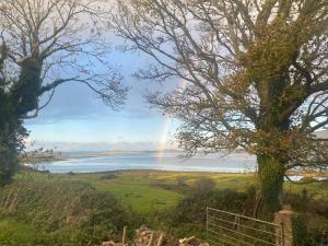 einen Regenbogen über dem Wasser mit einem Baum in der Unterkunft Curlew Cottage in Beltra + 6 Fotos