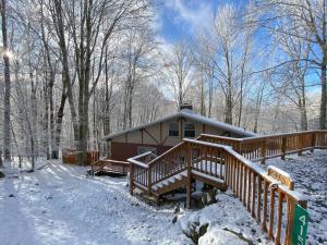uma cabana na floresta na neve em Cozy cabin with boosted Wi-Fi em Beech Mountain