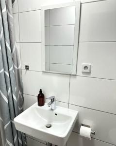 La salle de bains est pourvue d'un lavabo et d'un miroir. dans l'établissement Art Nouveau ap in Berlins Center, à Berlin