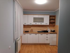 Kuchyň nebo kuchyňský kout v ubytování Apartman Jela