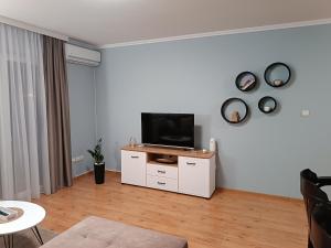 TV a/nebo společenská místnost v ubytování Apartman Jela