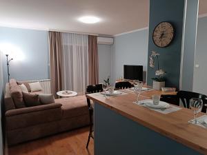 TV a/nebo společenská místnost v ubytování Apartman Jela