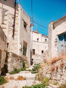 Gallery image of Spacious house on the olive grove Sitia in Sitia