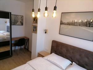 a bedroom with a bed and a picture on the wall at Pogled Apartman Kopaonik in Kopaonik +15 photos