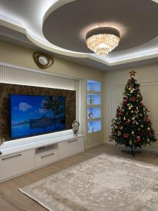 a living room with a christmas tree and a tv at Vila Mete Apartment's in Korçë