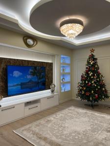 Μια τηλεόραση ή/και κέντρο ψυχαγωγίας στο Vila Mete Apartment's