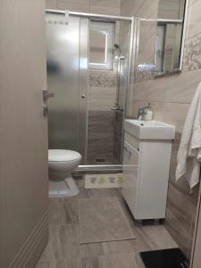 a bathroom with a shower and a toilet and a sink at Villa with mountain view in Gevgelija
