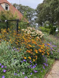 un giardino pieno di fiori colorati accanto a una casa di De Viersprong a Laren