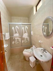a bathroom with a toilet and a sink and a mirror at Apartments Center GSV in Puerto Villamil