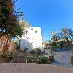 a white building with palm trees and flowers at Alexander Lodge in Siwa