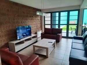 uma sala de estar com sofás, uma televisão e uma mesa em MODERNA x 11 Pax em Mendoza