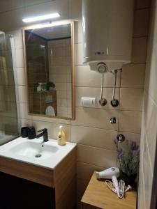 y baño con lavabo y espejo. en Apartman 318 - Sunčana Planina, en Kopaonik