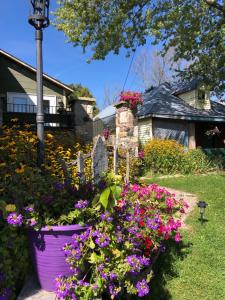 a garden of flowers in front of a house at Spry Church Cozy Cottage in Lion's Head