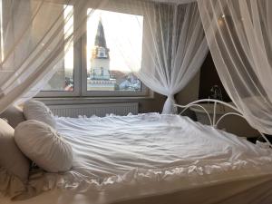 Fotografie z fotogalerie ubytování Fleur de Lys v destinaci Kikinda