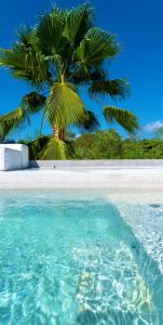 uma palmeira numa praia branca com água em Casa SANA em Puerto Escondido