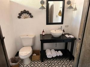 安地瓜的住宿－Eternal Spring，一间带卫生间、水槽和镜子的浴室