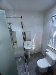 Oluyole Apartments Ibadan في إيبادان: حمام مع دش ومرحاض ومغسلة