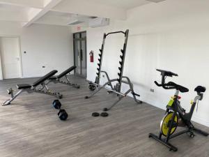 a gym with several treadmills and exercise bikes at The Echelon Suite in Kingston