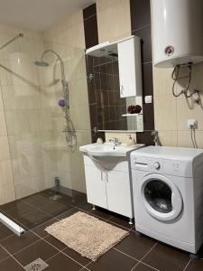 a bathroom with a washing machine and a sink at Apartman Vuksanović - Kolašin in Drijenak