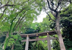 une porte torii dans une forêt d'arbres dans l'établissement APA Hotel Shibuya Dogenzakaue, à Tokyo