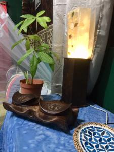 a lamp on a table with a potted plant at Fare Te ava Fitii in Fitii