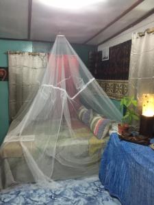 a bedroom with a bed with a mosquito net at Fare Te ava Fitii in Fitii