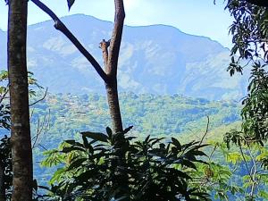 widok na góry z drzewa w obiekcie Villa Los Colibrí 