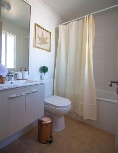 a bathroom with a toilet and a shower curtain at casa con habitaciones disponibles, estacionamiento privado, patio y áreas comunes para compartir in Puerto Montt