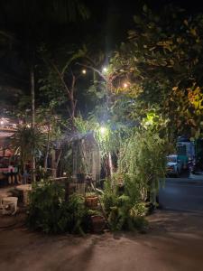 a garden with plants and lights at night at The rich room ห้องพักนครราชสีมาใกล้เซ็นทรัล in Nakhon Ratchasima