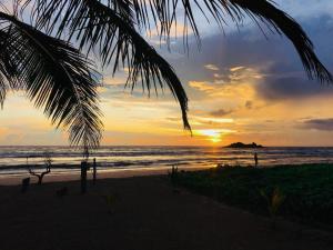 zachód słońca na plaży z palmą w obiekcie Bay Street w mieście Beruwala