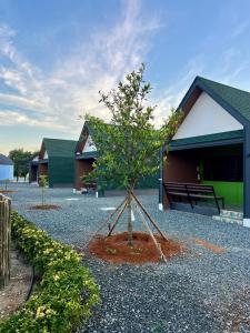 a small tree in front of a building at Napdown Resort Trat นับดาว รีสอร์ท ตราด in Trat