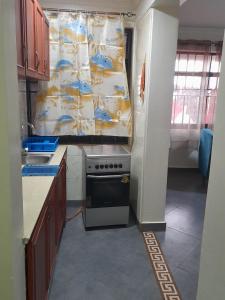uma cozinha com um fogão, um lavatório e uma cortina em Ella Apartment Albert Cook Road em Kampala