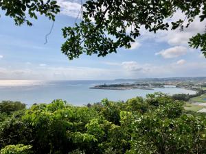 a view of the ocean from a tree at Kaiza in Nanjo