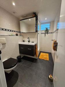 een badkamer met een toilet, een wastafel en een douche bij Luxe woonboot in de natuur evt met console bootje! in Leeuwarden