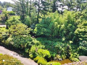 an aerial view of a garden with bushes and trees at Star House in Jeju