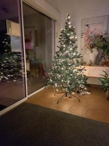 un arbre de Noël dans une chambre avec fenêtre dans l'établissement Edit Pension Rossau, à Rossau