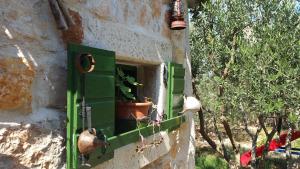 a green window with a potted plant in it at Apartmani Sanja in Šibenik