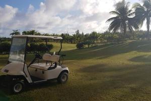 a golf cart parked in a field with a palm tree at Breeze Ocean Bungalow Moorea in Moorea