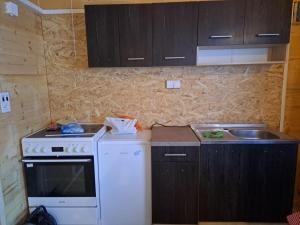 a small kitchen with a stove and a sink at Bungalovi Mihajlo & Miloš in Tjentište