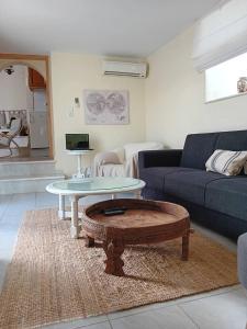 - un salon avec un canapé et une table basse dans l'établissement Bezari pool villa, à Metochia Fratzeskiana