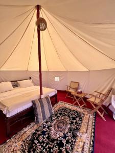 a bedroom with a tent with a bed and a rug at Desert waves camp in Bidiyah