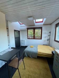 ナジュマロシュにあるStúdió Nagymarosのベッドルーム1室(ベッド1台、テーブル、デスク付)