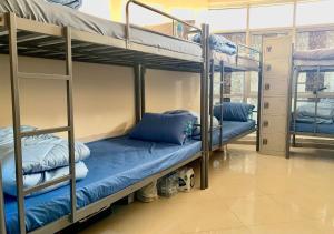 Cette chambre comprend 3 lits superposés avec des oreillers bleus. dans l'établissement Falcon Living Hostel, à Dubaï