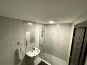a bathroom with a shower and a sink and a mirror at Luxurious cozy apartment in Amman +8 photos