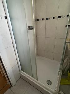 a shower with a glass door in a bathroom at Vila Vera in Divčibare